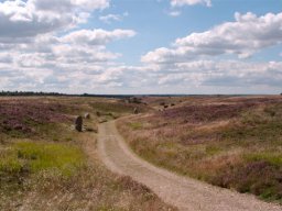 IMGP3056-Indgangen-til-mindelunden